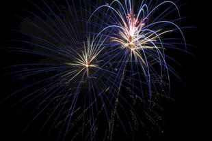 夜空中绚烂绽放的烟花