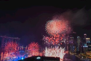 城市夜空绚烂烟花绽放