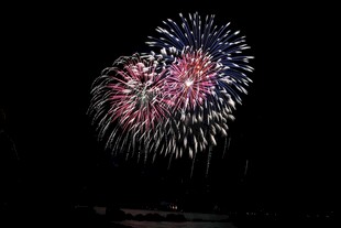 夜空中绚烂绽放的烟花