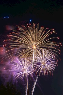 夜空中绚烂绽放的烟花