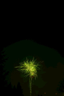夜空中闪耀的绚丽烟花