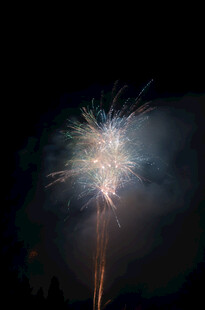 夜空中绚丽绽放的烟花