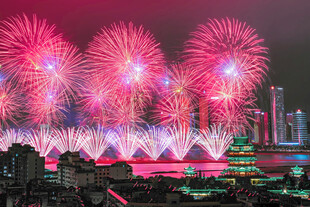 城市夜空绚丽烟花绽放