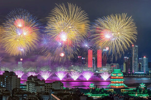 城市夜空绚烂烟花绽放