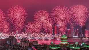 城市夜空绚烂烟花绽放