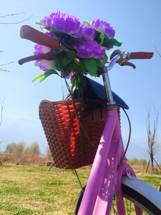 粉色单车配紫色花篮