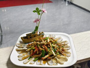 精美摆盘的海鲜 蛏子