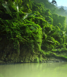 河畔葱郁的热带山林景观