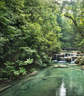 山林间的清澈溪流美景