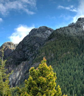巍峨青山与葱郁林木景观
