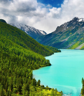 高山蓝湖旁的葱郁森林