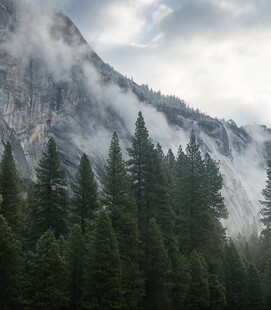 云雾缭绕的山林美景