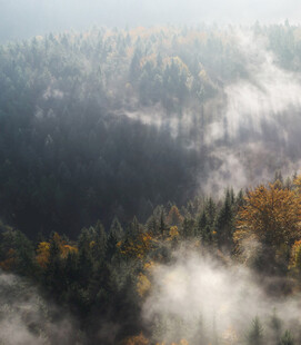 山林云雾间的秋日美景
