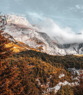 秋日雪山下的斑斓山林