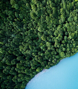 森林湖畔美景
