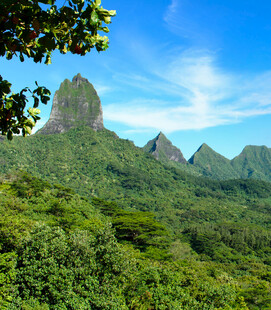 青山翠谷间的秀丽峰景
