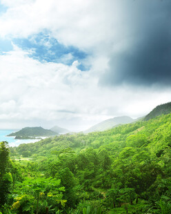 翠绿山峦间的云海美景