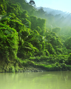 青山绿水间的静谧湖景