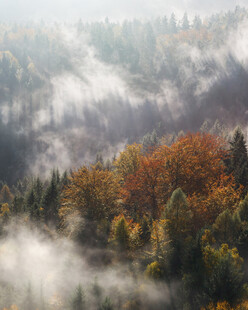 山林秋雾间的斑斓景致