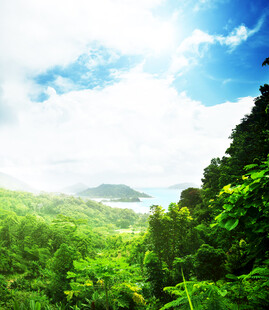 青山绿野间的明媚风光