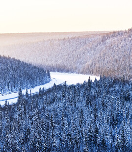 冬日雪覆山林间的静谧美景