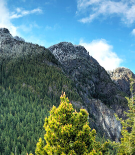 青山绿树间的壮丽山景