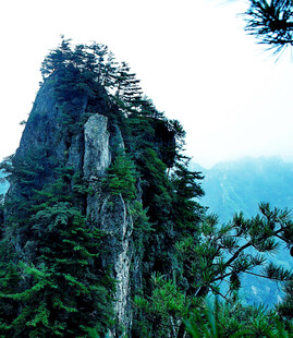 巍峨奇峰绿意萦绕