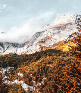 秋日雪山下的斑斓山林