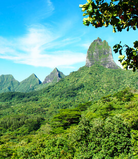 青山绿野间的秀丽风光