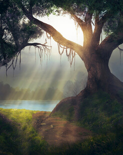 阳光穿透大树下的梦幻场景