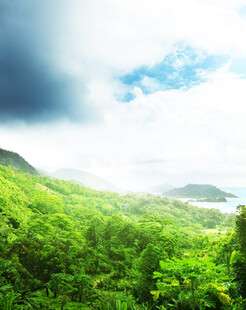 翠绿山峦间的清新自然景