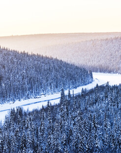 冬日雪林公路美景