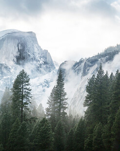 云雾缭绕的山林与山峰