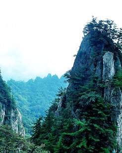 峻峭山峰覆满翠绿植被