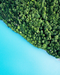 蓝水绿林的自然美景