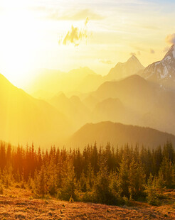 日出下的山林与远处山峦