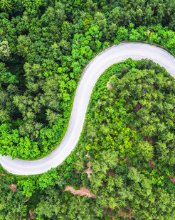 蜿蜒绿林公路