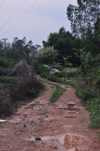 乡村泥泞小路