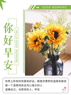早安向日葵插花图