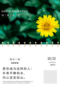 黄色雏菊日历页