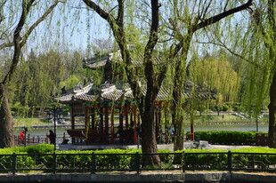 公园风景 