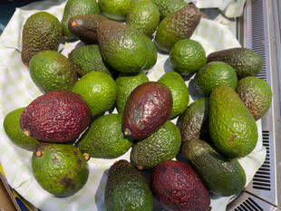 新鲜多样牛油果堆叠展示