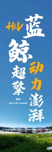 蓝鲸超动感澎湃海洋