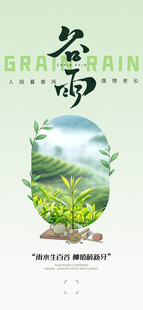 谷雨时节绿意盎然景象