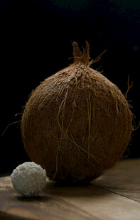 椰子与小球的静物组合