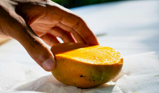 手触切开的新鲜橙子