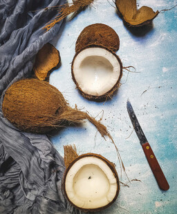 新鲜椰子及开椰工具展示