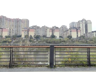 河畔高楼景观
