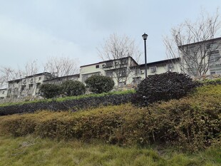 山坡旁的整齐建筑景观