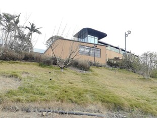 山坡上的独栋小屋